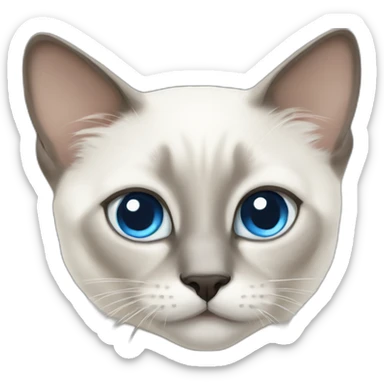 white siamese cat with big blue eyes sticker