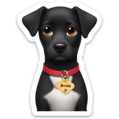 Black small wearing wearing a red collar with a name tag that says birdie  sticker