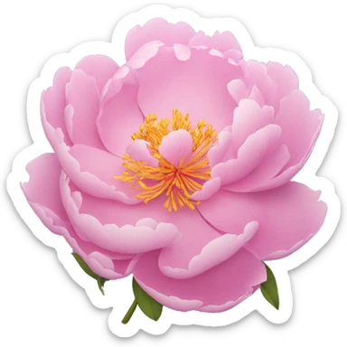 Peony sticker