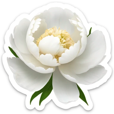 White peony  sticker