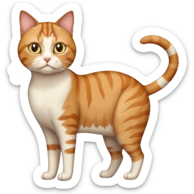 full body white, ginger and brown tabby calicio cat with skinny head and fat body with an anxious face sticker