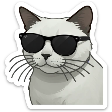Cat wearing sunglasses sticker