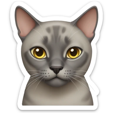 Burmese gray cat sticker