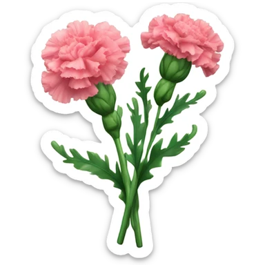 Carnations sticker
