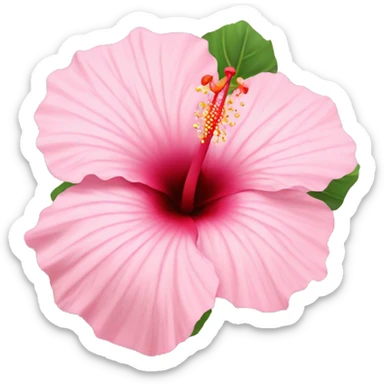 light pink hibiscus sticker