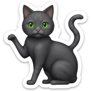full body gorgeous solid dark grey cat with green eyes, white paws and white whiskers playing sticker