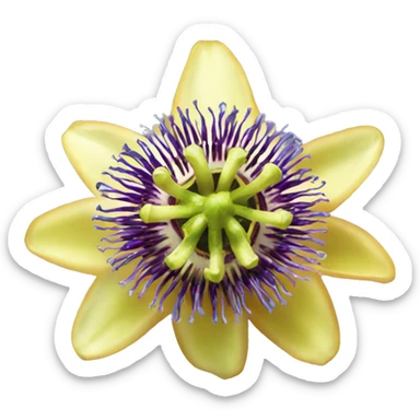 Passion fruit flower sticker