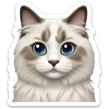 Ragdoll cat sticker