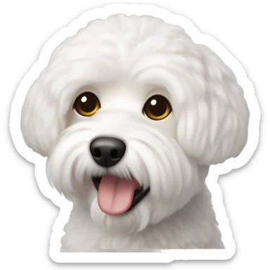 bishon frise  sticker