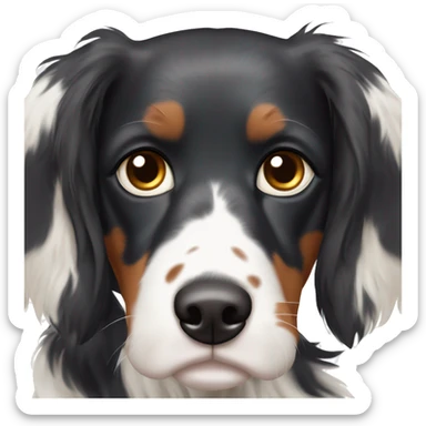 English Setter face, brown eyes, black face and ears, white patch on right cheek, white patch on top of head sticker