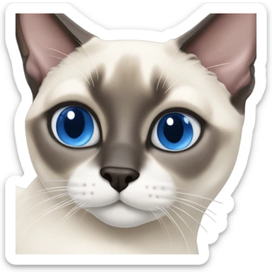 blue point snowshoe siamese cat sticker