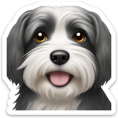 Black and white Havanese dog crying sticker