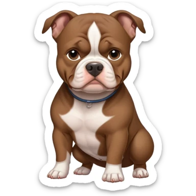 Dark brown american pocket bully sticker