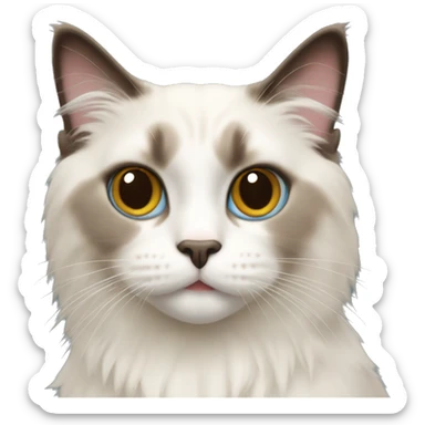 ragdoll cat sticker
