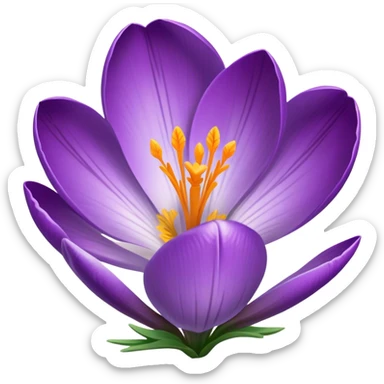 Crocus  sticker