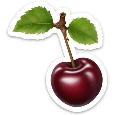 burgundy cherries on single stem sticker