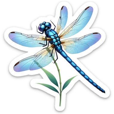 blue dragonfly sticker