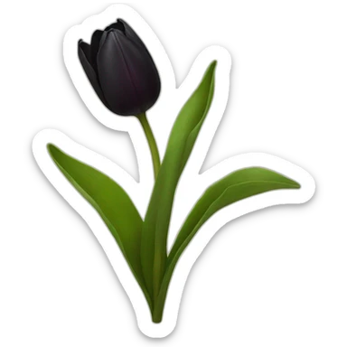 black tulip sticker