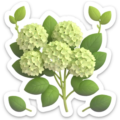 Charming hydrangea flower with kawaii style, soft rounded flower clusters in pretty pastel colors, and cute green leaves sticker