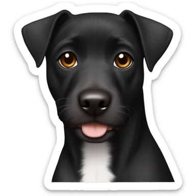 A black Patterdale Terrier dog with a white patch on its chest and brown eyes.  sticker