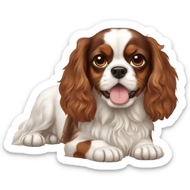 tricolor-king-charles-cavalier-spaniel sticker