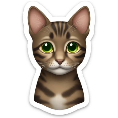 Dark brown tabby cat with brown-green eyes  sticker