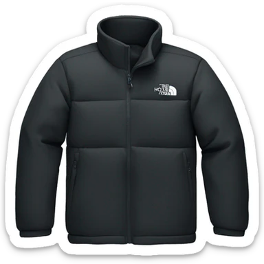 North Face jacket black sticker