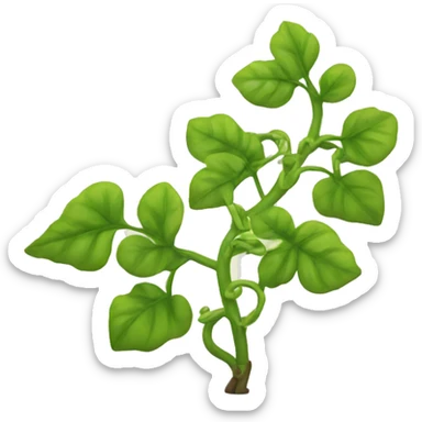 Vine plant sticker