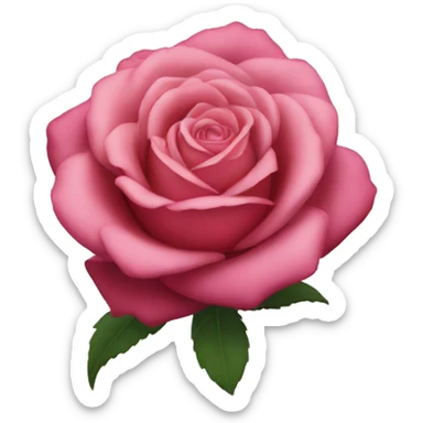 Rosa rosett sticker