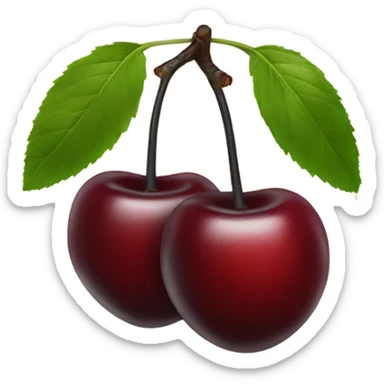 two burgundy cherries on black stem sticker