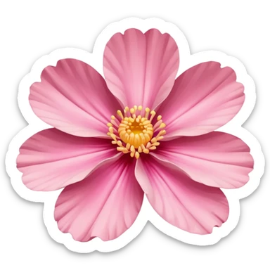 coquina flower sticker