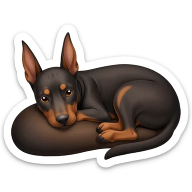 doberman dog sleeping  sticker