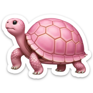 pastel pink tortoise  sticker