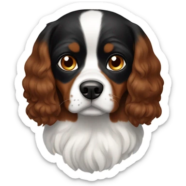 Black with brown eye brown, cavalier dog sticker