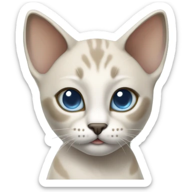 Thai breed adult cat with a light cream-brown body, dark gray nose and face, ears, and paws. sharp ears, and striking light blue eyes  sticker