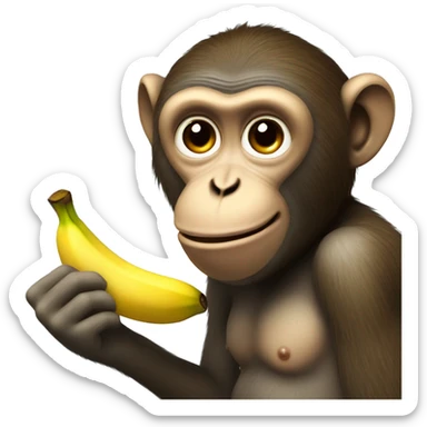 Monkey eating banana  sticker