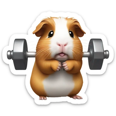 Guinea pig lifting weights sticker
