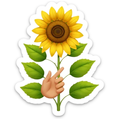 sonnenblumenstrauch  ohne personen, aber mit ok zeichen sticker