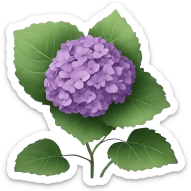 Purple hydrangea  sticker
