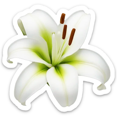 lily flower white  sticker