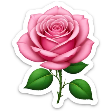 A lush pink romantic Rose with some petals and a stem sticker