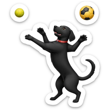 Black lab catching ball in the air  sticker