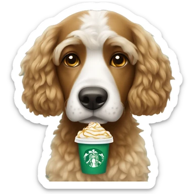 Doodle dog with Starbucks  sticker