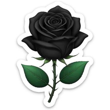 black rose, without green leaves, just flower sticker