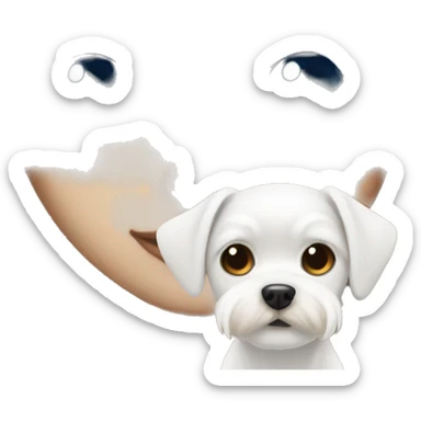 Blue eye Girl with white maltese dog with brown eyes  sticker