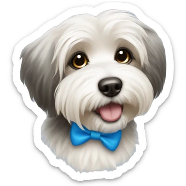 havanese dog with blue bow sticker