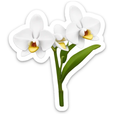 Orquídea blanca  sticker