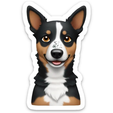 Blue heeler with one black eyebrow sticker