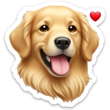 Golden retriever with heart sticker