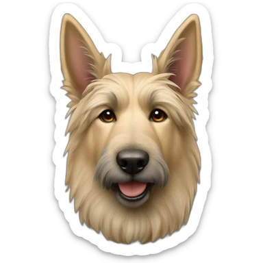 Berger Picard with pointy ears sticker